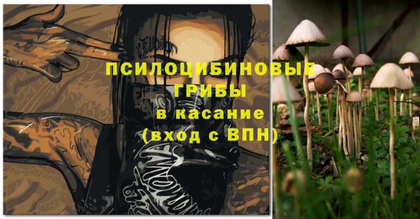 хмурый Нягань